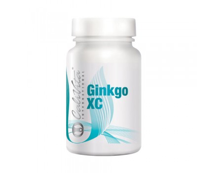 GINKGO XS 100 tablets